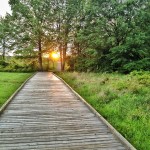 Wooden path